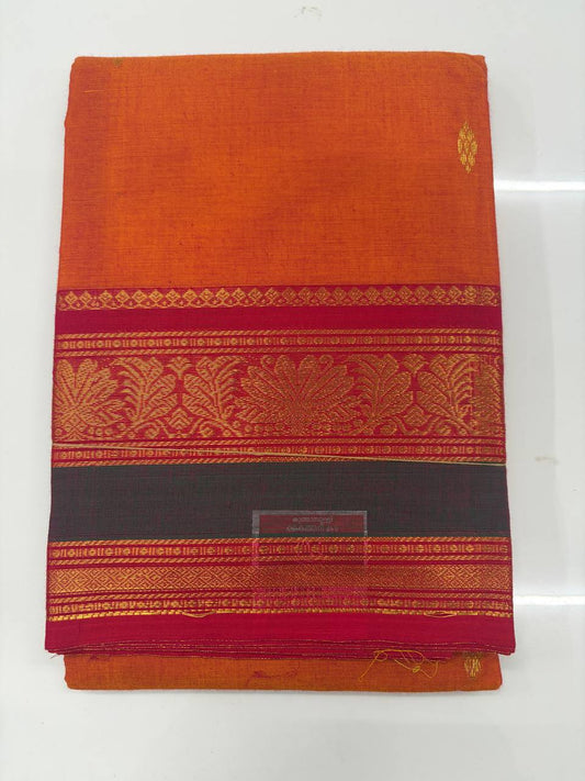 Kanchi Cotton - kc15