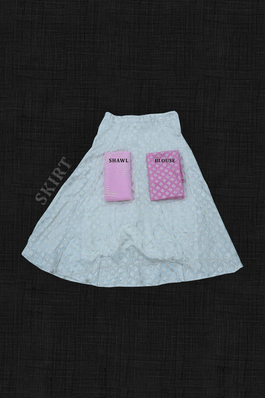 Chiffon Dhavani Set - baby pink (04)