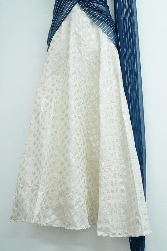 Chiffon Dhavani Set - Blue (02)