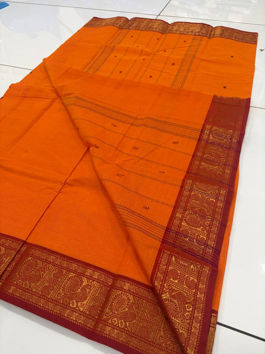 Kanchi Cotton - kc13