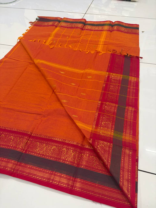 Kanchi Cotton - kc15